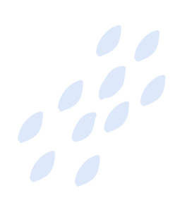 Sri Guru Nanak Girls College